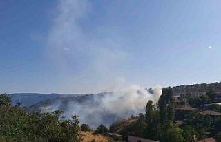 Bolu’da 3 farklı noktada çıkan yangın söndürüldü