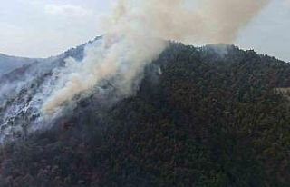 Bolu’da aynı ilçede 2 farklı orman yangını