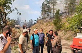 Bolu’da orman yangınına müdahale sürüyor