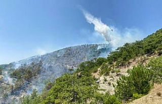 Bolu’daki orman yangına müdahale sürüyor