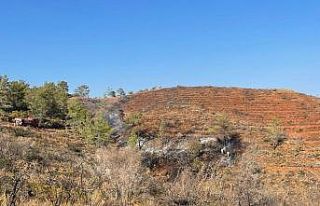 Bördübet’teki yangın büyümeden söndürüldü