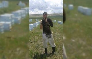 Böyle hobi görülmedi