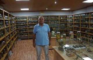 Bu müze diğerlerinden farklı