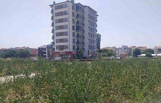 Bu parkın yapımı neden yarım bırakıldı?