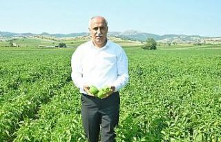 Bu pazarda fiyatı çiftçi belirleyecek