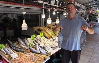 Bu yıl hamsi ve çinekop bol olacak