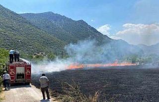 Burdur’da aynı anda iki farklı yerde arazi yangını...