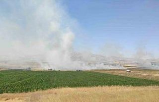 Burdur’da çıkan yangında 100 dönümlük tarım...