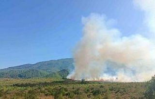 Burdur’da orman yangını havadan ve karadan müdahale...