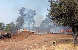 Bursa’da ağıl yangını
