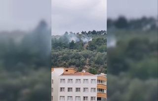 Bursa’da makilik alanda çıkan yangın söndürüldü