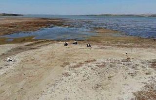 Büyükçekmece Gölü’nde sular çekilince alan...