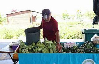 Büyükşehir Belediyesi Doğal Ürünler Bahçesi,...