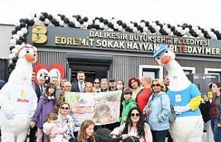 Büyükşehir, sokak hayvanları için var gücüyle...