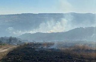 Çanakkale Valiliği orman yangınlarına karşı...