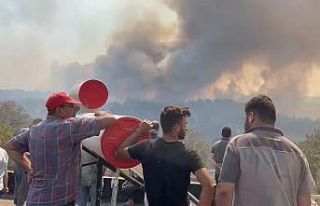 Çanakkale yangını rüzgarın etkisiyle yeniden...