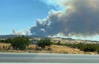 Çanakkale’de orman yangını