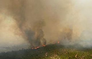 Çanakkale’de orman yangını: 1 köy boşaltıldı