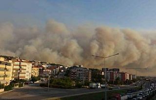 Çanakkale’de orman yangını nedeniyle şehir merkezi...