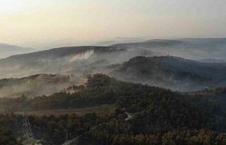 Çanakkale’de orman yangınının 3. gününde yanan...
