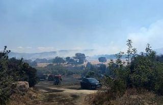 Çanakkale’de tarım arazilerinin bulunduğu bölgede...