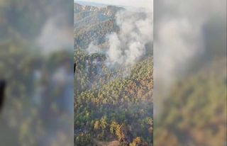 Çanakkale’deki orman yangını havadan görüntülendi