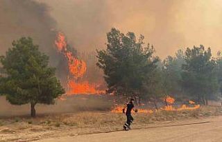 Çanakkale’deki orman yangınında köylüler hayvanlarını...