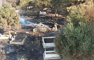 Çanakkale’deki yangın yürek sızlattı Mezarlar...