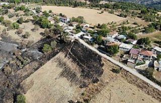 Çanakkale’nin ciğerlerini yakan yangın burada...