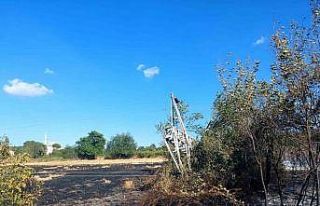 Çan’da orman yangını büyümeden söndürüldü