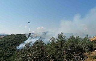 Çan’daki orman yangını kontrol altına alındı