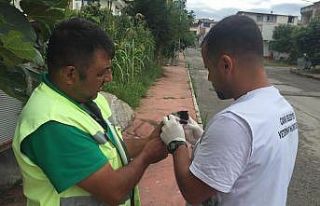 Canik Belediyesi can dostların yanında