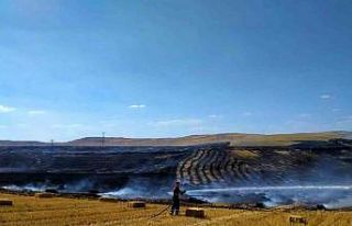 Çankırı’da anız yangını