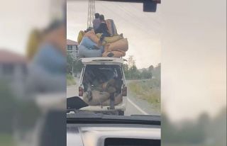 Çay yüklü aracın üzerinde tehlikeli yolculuk...