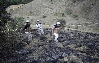 Çıkan mera yangınında 150 dekar alan zarar gördü