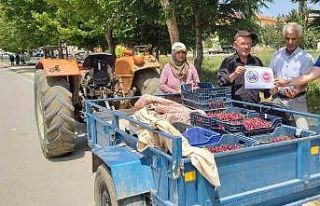 Coğrafi işaret alan Pazarlar kirazı denetlendi