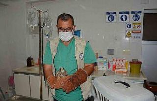 Çukurova’nın tedavi ve rehabilitasyon merkezi:...