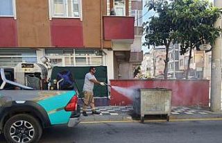 Darıca’da sivrisineklere karşı etkin mücadele