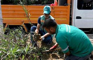 Davutlar Mahallesi’nde peyzaj çalışmaları devam...