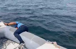 Denizde mahsur kalan martıya polis şefkati