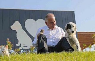 Denizli Büyükşehir ilk 7 ayda 506 sokak hayvanına...
