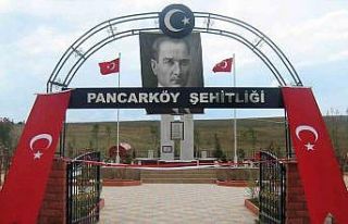 Denizlili şehit Uzman Çavuş Kemal Özek köyünde...