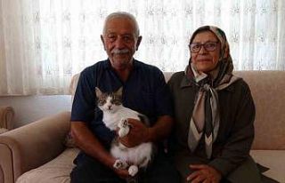 Depremde kaybettikleri kedilerini geri dönüp 5 ay...