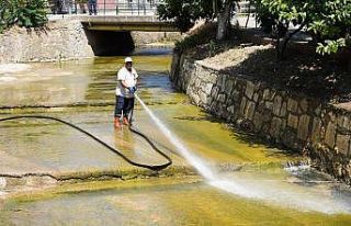 Dere temizlenince 40 yıl önce görülen balıklar...