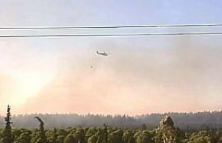 Didim’deki makilik yangını sürüyor