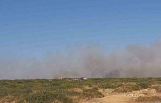 Didim’deki yangını söndürme çalışmaları...