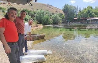 Dinar’da 100 bin balık göletlere bırakıldı