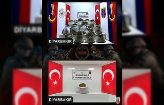 Diyarbakır’da 2 milyon 425 bin kök kenevir ve...