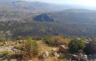 Diyarbakır’da çıkan yangın 25 saat sonra kontrol...