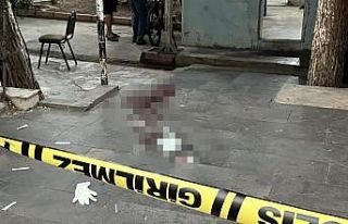 Diyarbakır’da iki kardeşin kavgasında kan döküldü